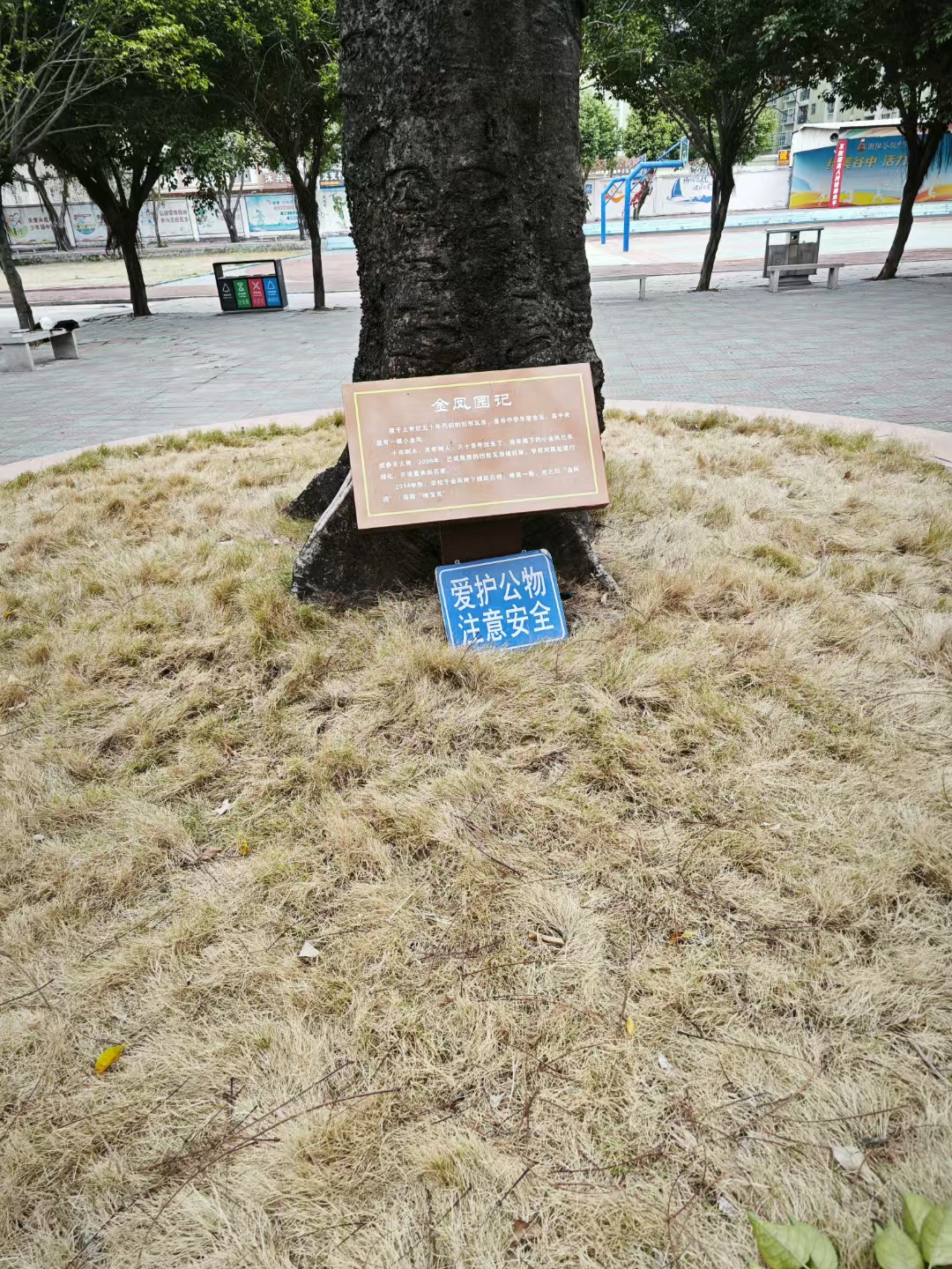 1000003050.jpg